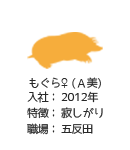 もぐら